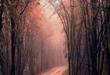 资金秒到账的世界杯十大安全外围平台 -平顶山市人大常(cháng)委會(huì)最新任免名单