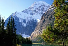 资金秒到账的世界杯十大安全外围平台 -平顶山市人大常(cháng)委會(huì)最新任免名单